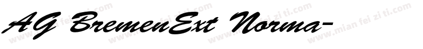 AG BremenExt Norma字体转换